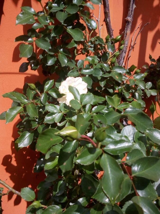 B&B Antica Corte Lombarda 모르타라 외부 사진